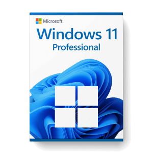 Windows 11 Pro OEM